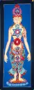 Seven Chakra Thangka – Yogic Subtle Body